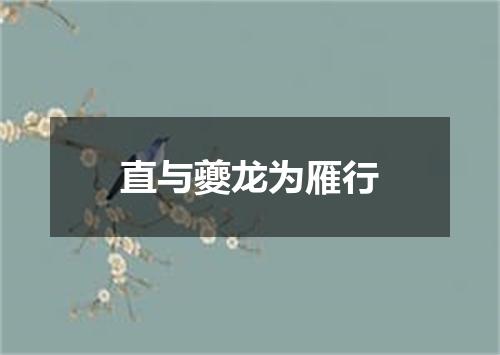 直与夔龙为雁行