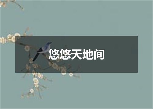 悠悠天地间