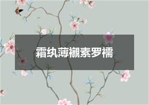 霜纨薄襯素罗襦
