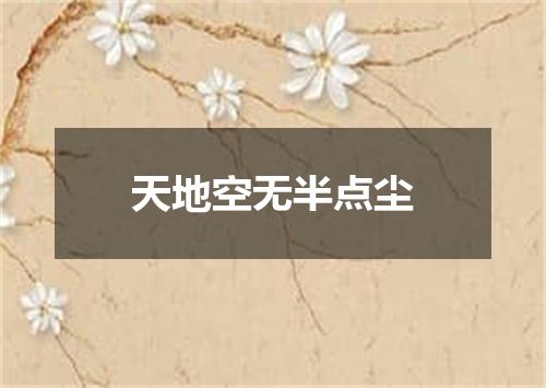 天地空无半点尘