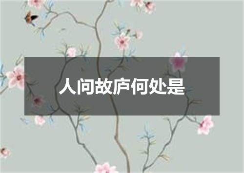 人问故庐何处是