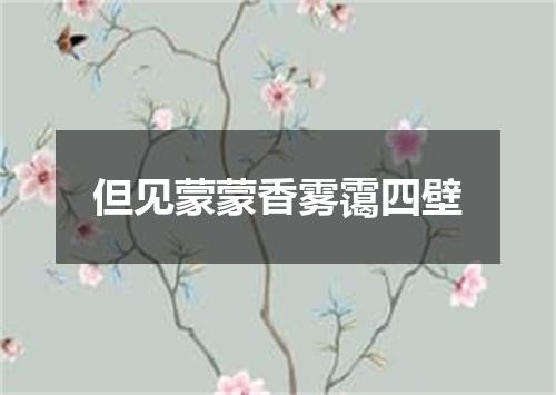 但见蒙蒙香雾霭四壁