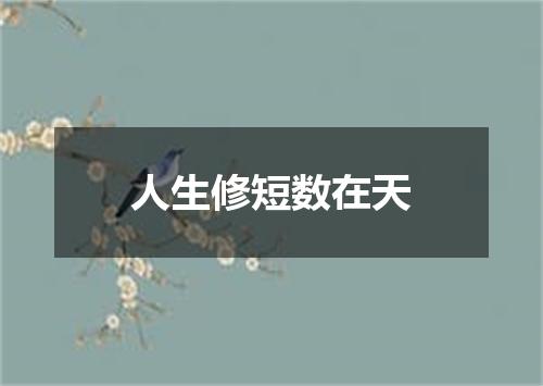 人生修短数在天