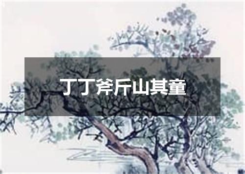 丁丁斧斤山其童