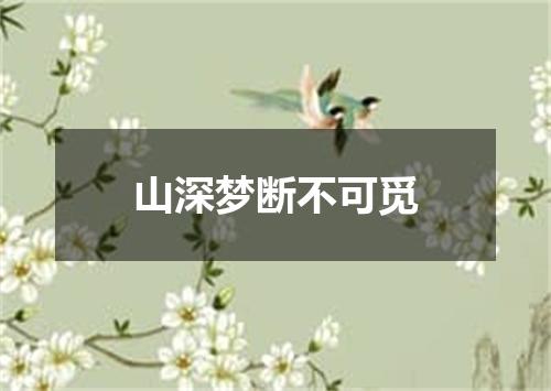 山深梦断不可觅