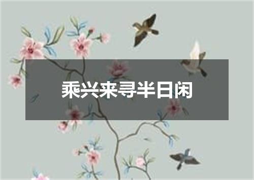 乘兴来寻半日闲