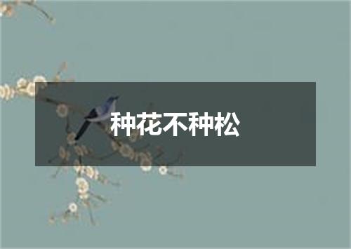 种花不种松