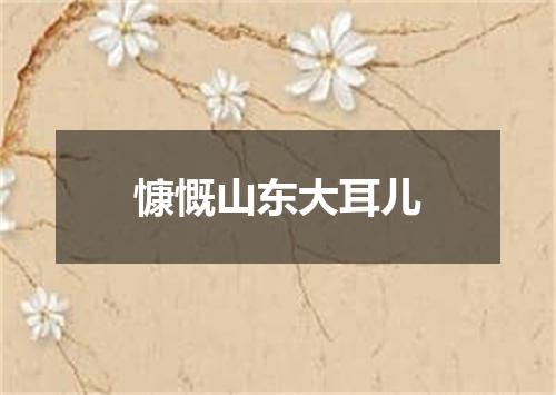 慷慨山东大耳儿