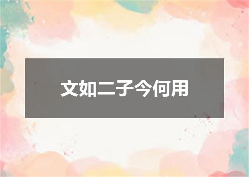 文如二子今何用