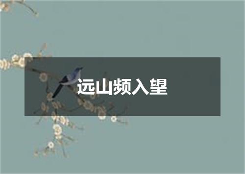 远山频入望