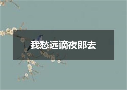 我愁远谪夜郎去
