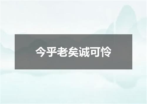 今乎老矣诚可怜