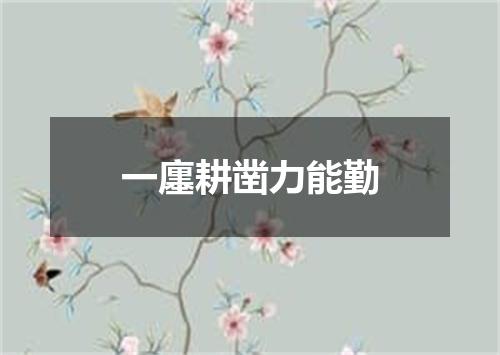 一廛耕凿力能勤