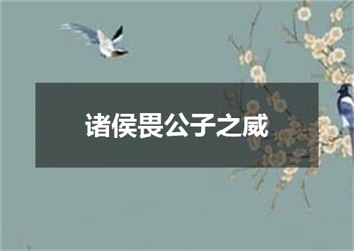 诸侯畏公子之威