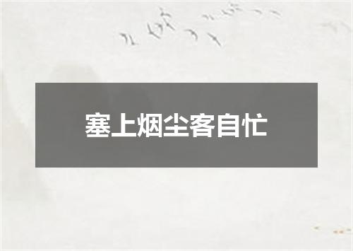 塞上烟尘客自忙