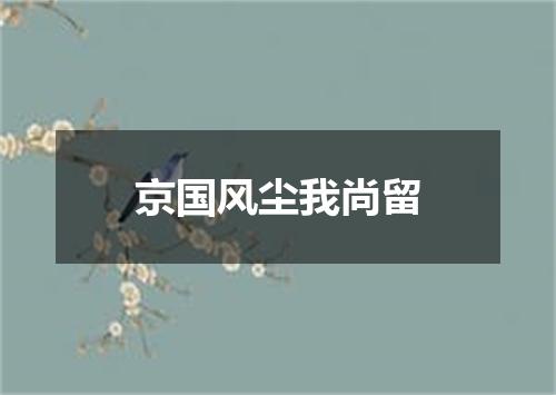 京国风尘我尚留