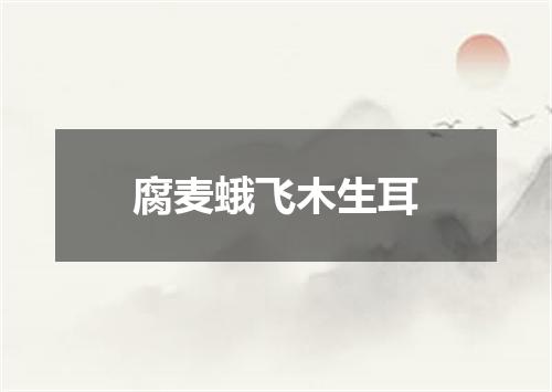 腐麦蛾飞木生耳