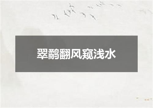 翠鹬翻风窥浅水