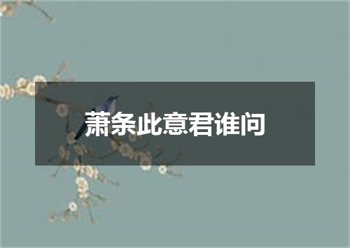 萧条此意君谁问