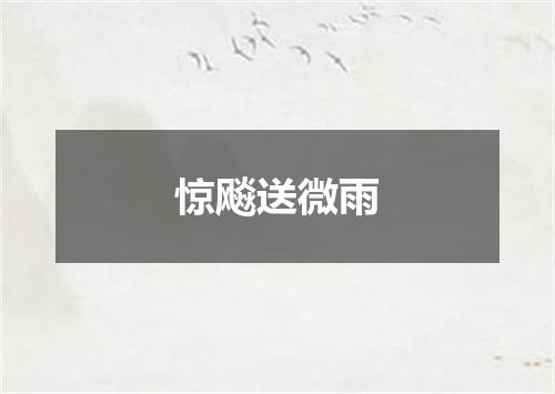 惊飚送微雨