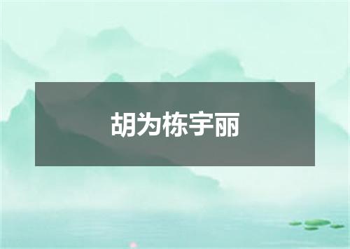 胡为栋宇丽