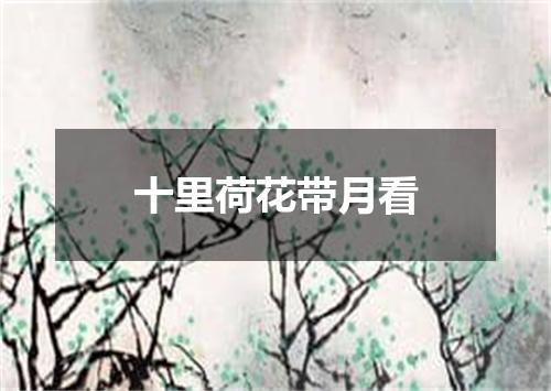 十里荷花带月看