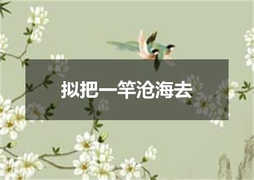 拟把一竿沧海去