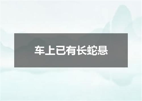 车上已有长蛇悬