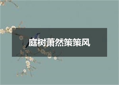庭树萧然策策风
