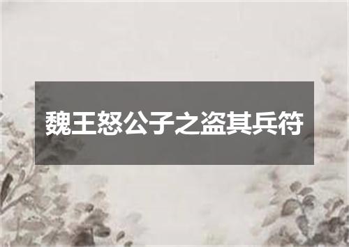 魏王怒公子之盗其兵符
