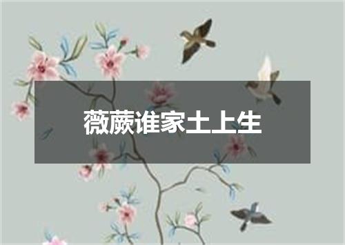薇蕨谁家土上生