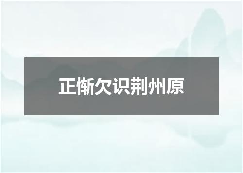 正惭欠识荆州原