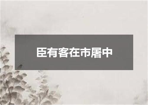 臣有客在市屠中