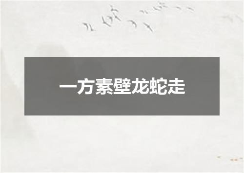 一方素壁龙蛇走
