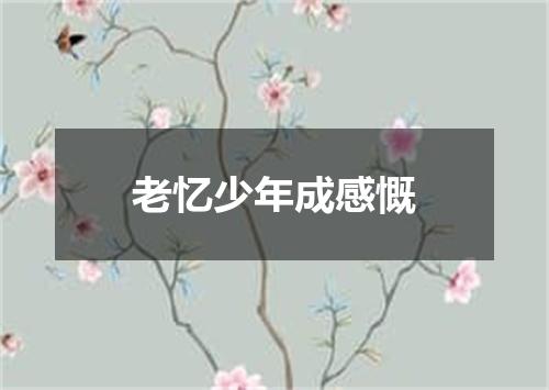 老忆少年成感慨