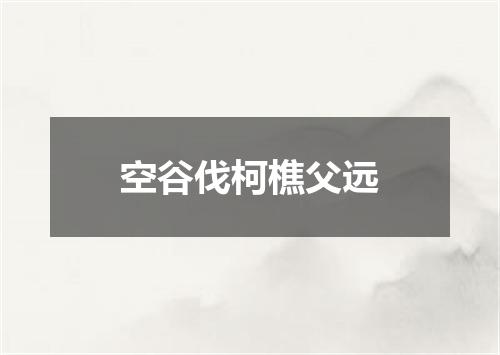 空谷伐柯樵父远