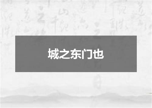 城之东门也