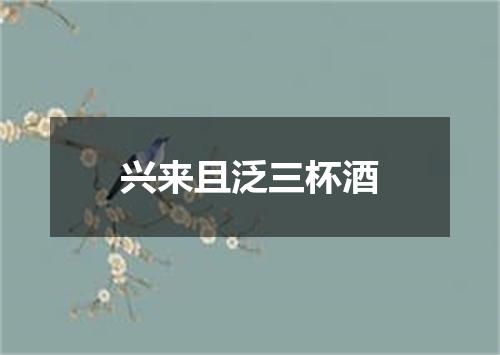 兴来且泛三杯酒