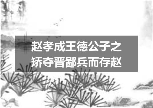 赵孝成王德公子之矫夺晋鄙兵而存赵