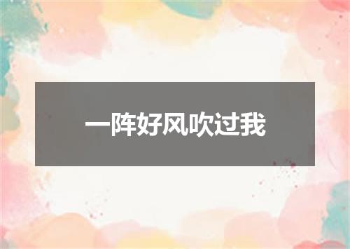 一阵好风吹过我