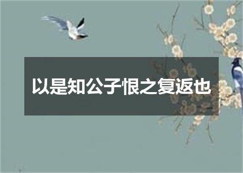 以是知公子恨之复返也