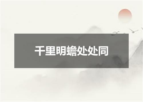 千里明蟾处处同