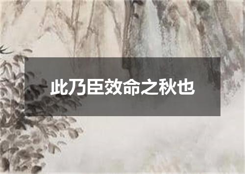 此乃臣效命之秋也