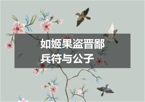 如姬果盗晋鄙兵符与公子