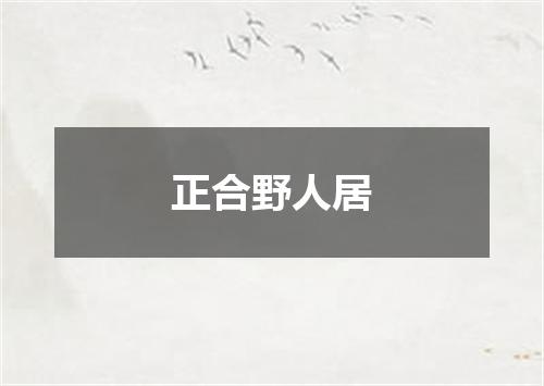 正合野人居
