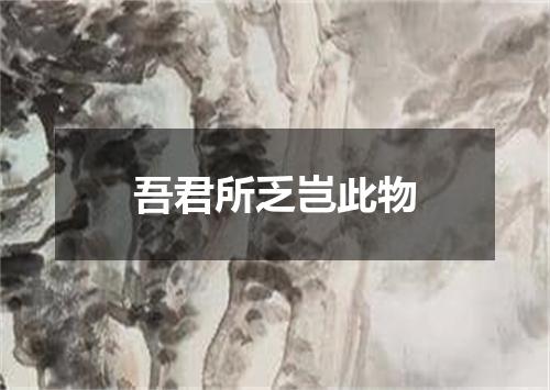 吾君所乏岂此物