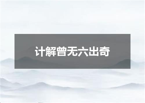 计解曾无六出奇