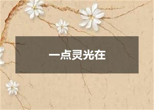 一点灵光在