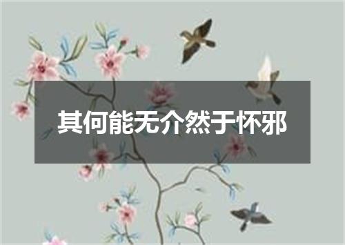 其何能无介然于怀邪