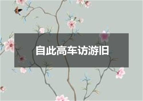 自此高车访游旧